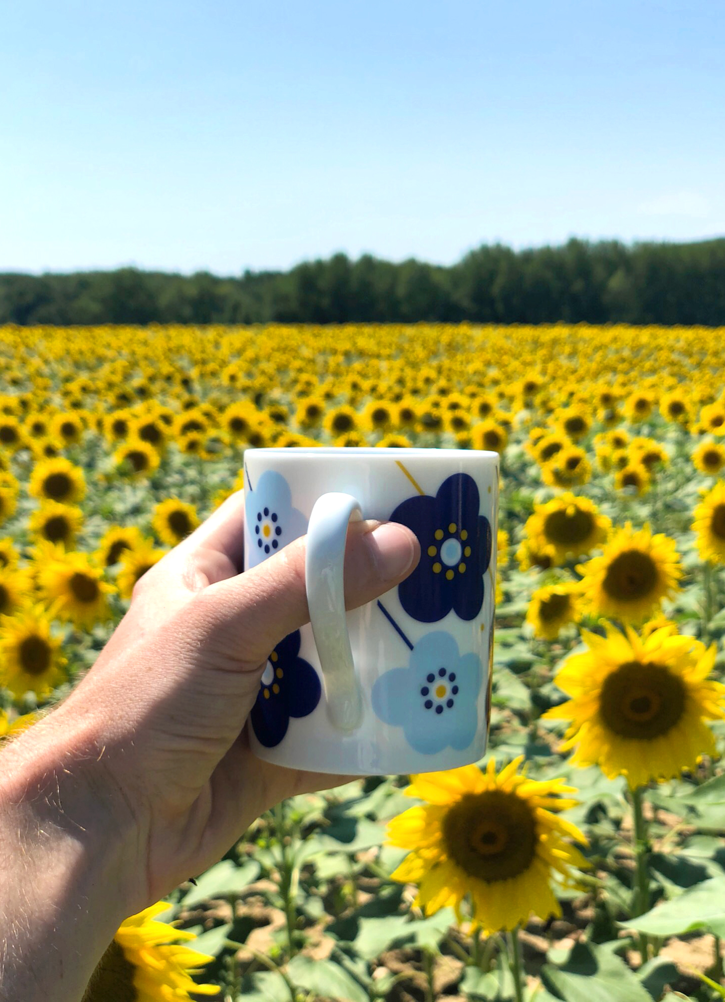 Le mug Fleurs Bleues