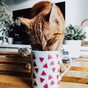 Le mug Mini pastèques on Instragram