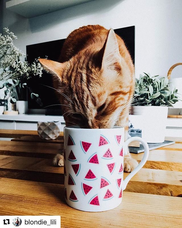 Mug in France